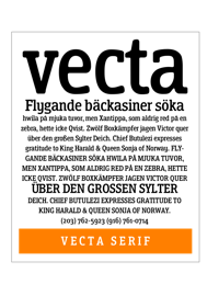 Vecta Serif Brochure by Robbie de Villiers