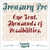 Using Treasury Pro