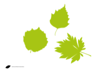 Fontfoliae Samples and Legenda by Studiocharlie