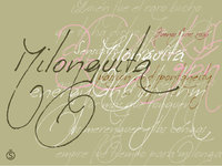 Milonguita by Sudtipos