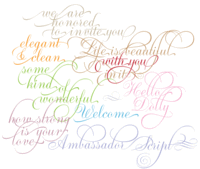 Ambassador Script by Canada Type