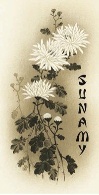 Sunamy