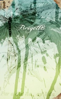 Brigette Sample Book by insigne