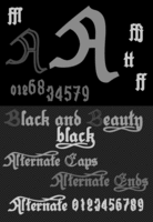  B&B Black by Otto Maurer