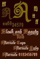 B&B Bold by Otto Maurer