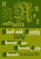 B&B Curly by Otto Maurer