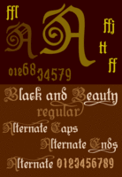 B&B Regular by Otto Maurer