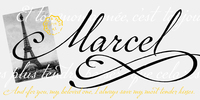 P22 Marcel™
