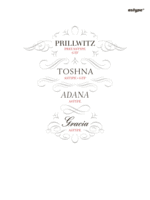 features fonts sample