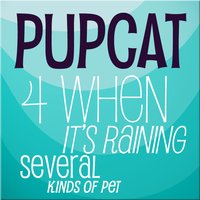 Pupcat