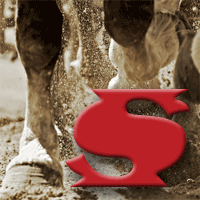 Stampede™