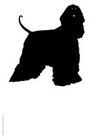 Charliedog