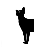 Gattofont