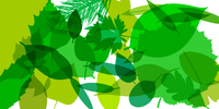 Fontfoliae poster