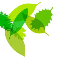 Fontfoliae 200x200