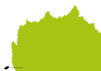 Fontfoliae