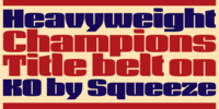 Heavyweight Champion Title Belt on KO