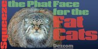 Squeeze--Phat Face for the Fat Cats