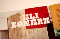 Bohemian Modern by Eli Carrico