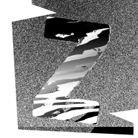 Zebramatic Flag by Harald Geisler