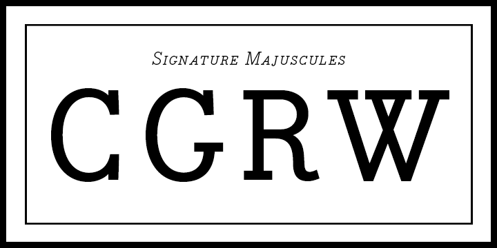 Bodoni Egyptian Pro®