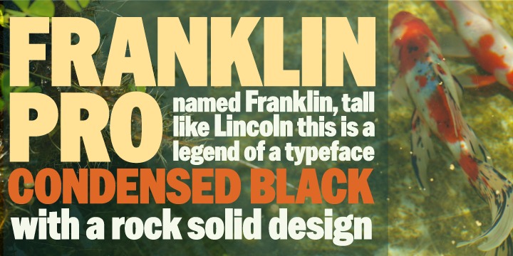 Franklin Gothic Pro
