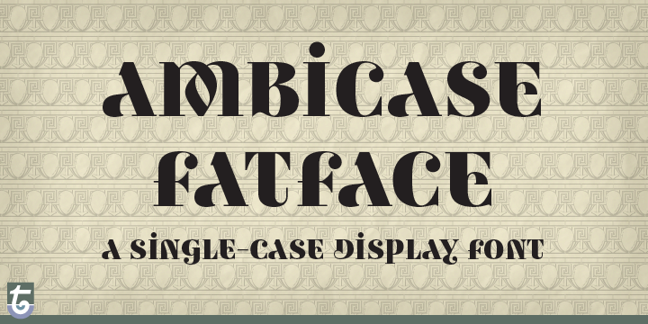 Ambicase Fatface
