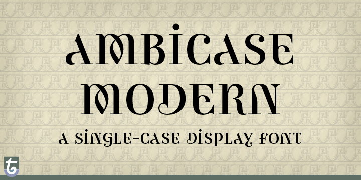 Ambicase Modern