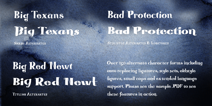 Blue Goblet Serif™