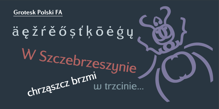 Grotesk Polski FA