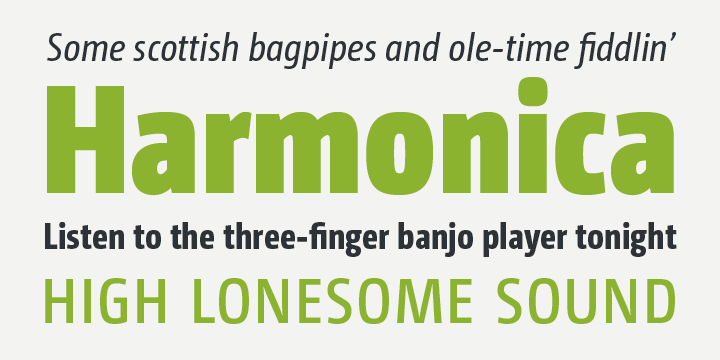 CamingoDos Condensed™