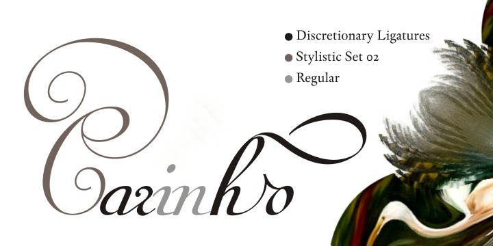 Van den Velde Script