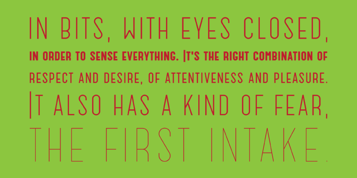 Catorze27 Style 1™