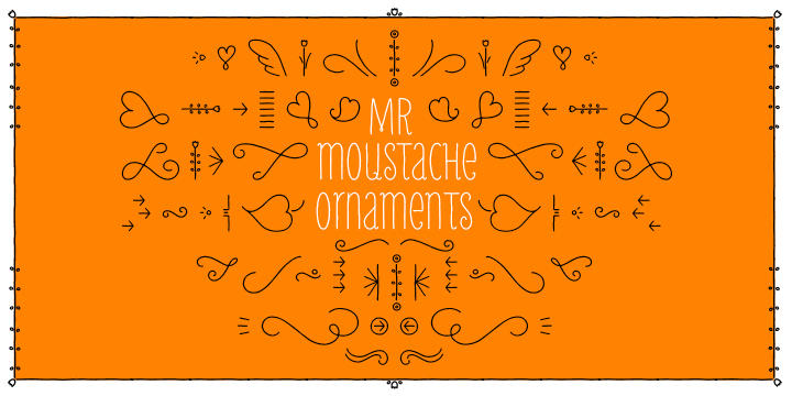 Mr Moustache™