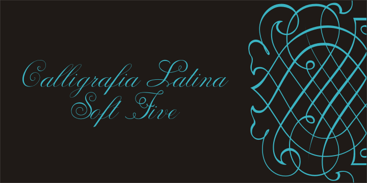 Calligraphia Latina Soft 5