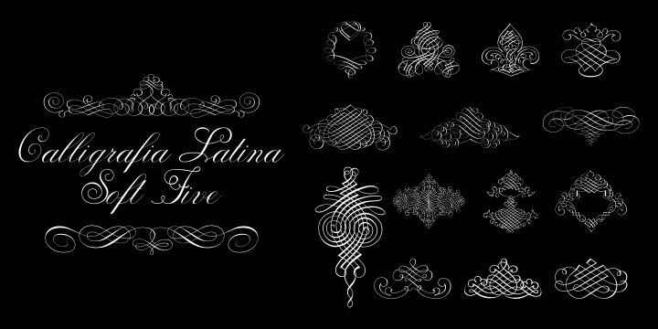 Calligraphia Latina Soft 5