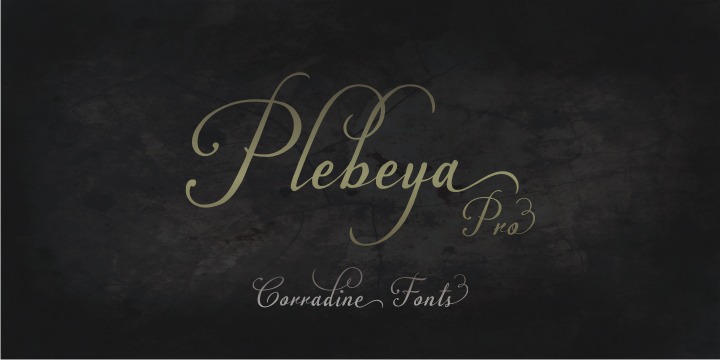 Plebeya™