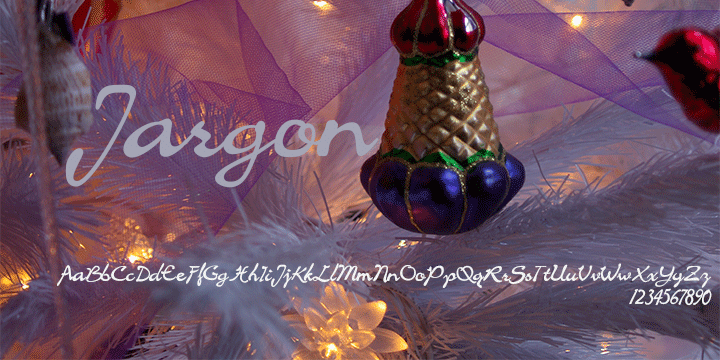 Jargon Pro