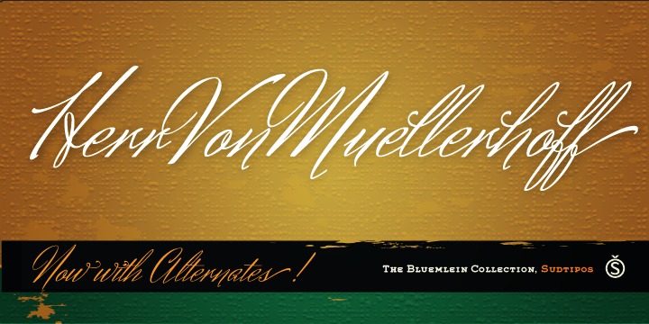 Herr Von Muellerhoff Pro