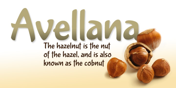 Avellana Pro