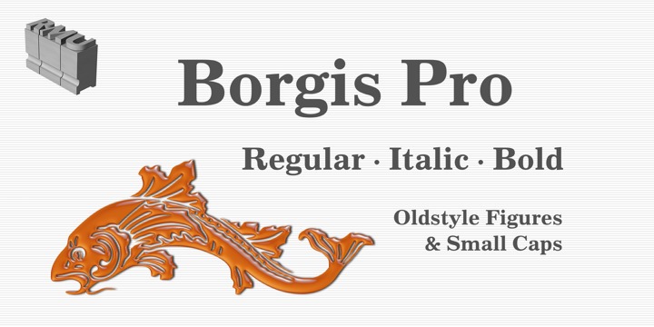 Borgis Pro™