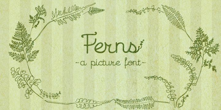 Ferns