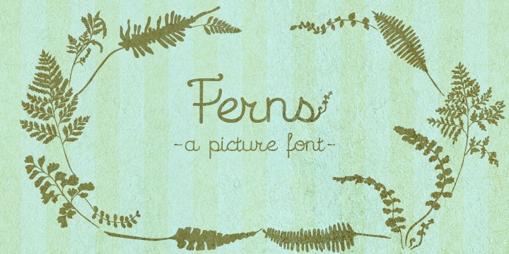 Ferns