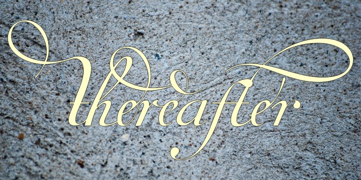 Van Den Velde Script Pro