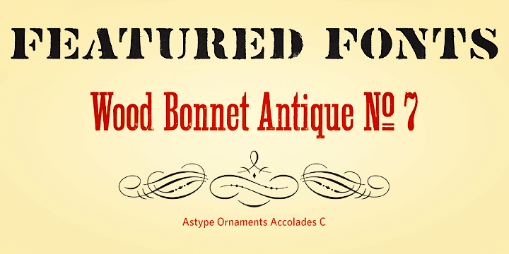 Vtg Stencil US No 4™