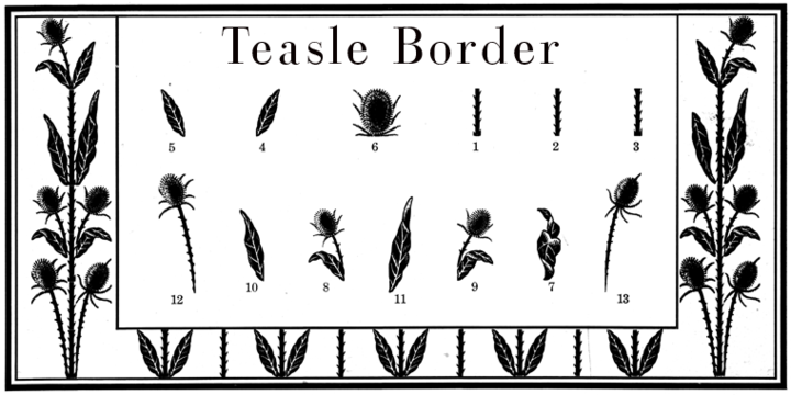 Thistle Borders