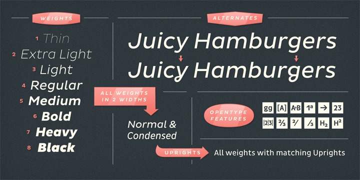 Pluto Sans Italics™