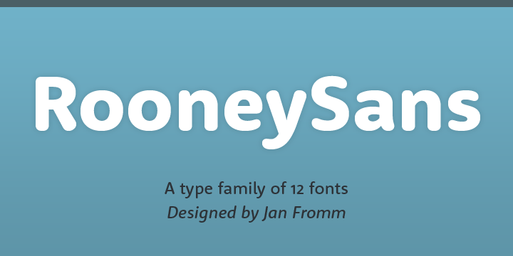 Rooney Sans™