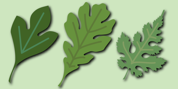 Leaf Assortment™
