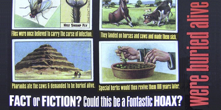 Xheighter Condensed™